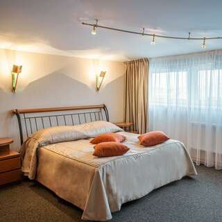 Гостиница Нептун Санкт-Петербург Двухместный 1 кровать-4